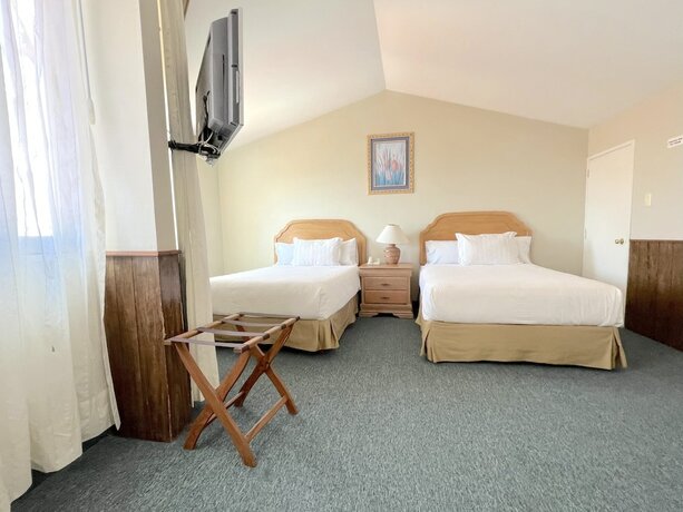 Imagen de la habitación del Hotel Biohotel Boutique Metepec. Foto 7