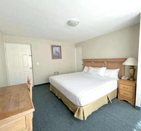 Imagen de la habitación del Hotel Biohotel Boutique Metepec. Foto 11