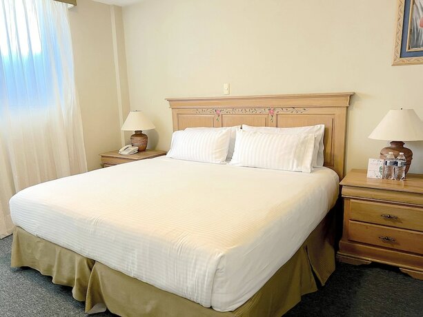 Imagen de la habitación del Hotel Biohotel Boutique Metepec. Foto 12