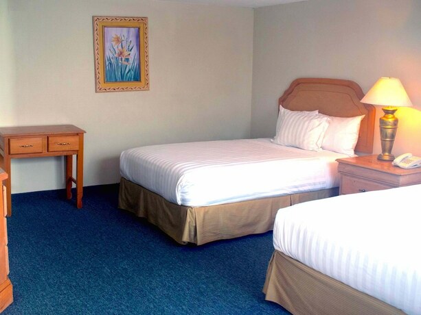 Imagen de la habitación del Hotel Biohotel Boutique Metepec. Foto 14