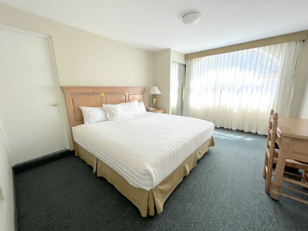 Imagen de la habitación del Hotel Biohotel Boutique Metepec. Foto 15