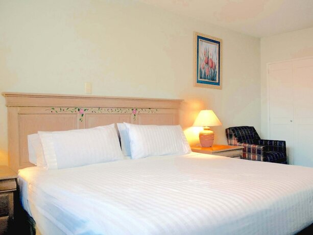 Imagen de la habitación del Hotel Biohotel Boutique Metepec. Foto 16