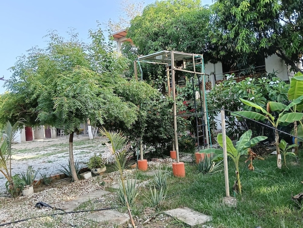 Imagen de los exteriores del Hotel Biohotel Caribe Green. Foto 15