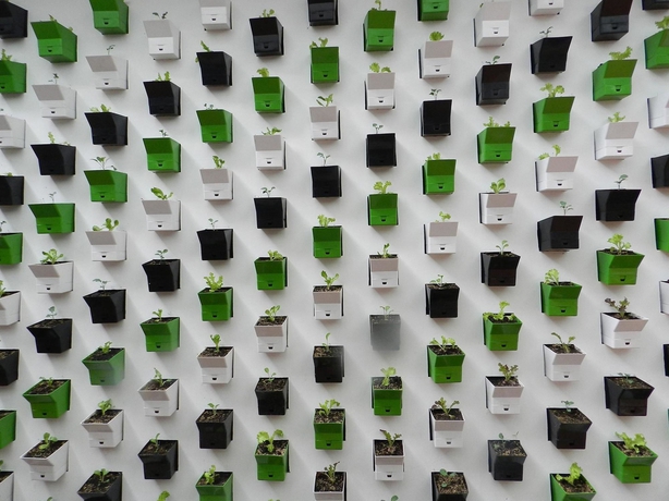 Imagen de los interiores del Hotel Biohotel Organic Suites. Foto 15