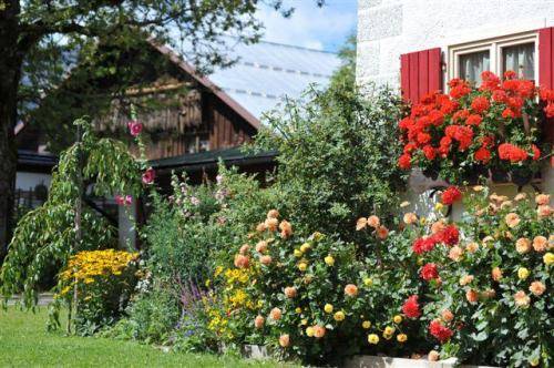 Imagen de la habitación del Hotel Bio-hotel Oswalda-hus. Foto 12