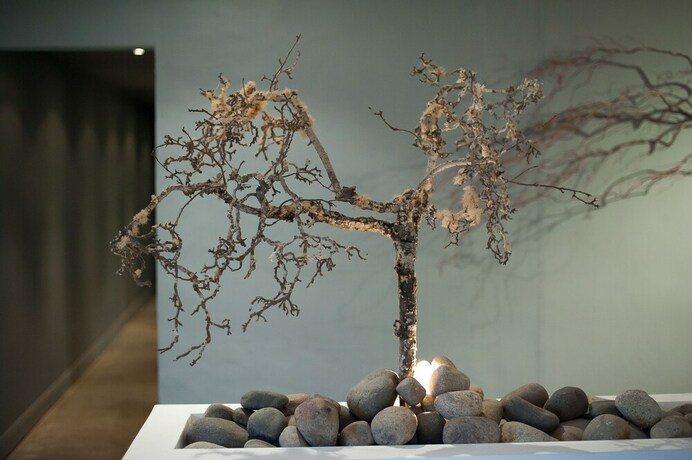 Imagen de los interiores del Hotel Biota Dining And Rooms. Foto 18