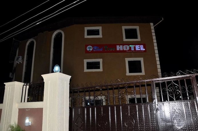 Imagen general del Hotel Birch Tree. Foto 2