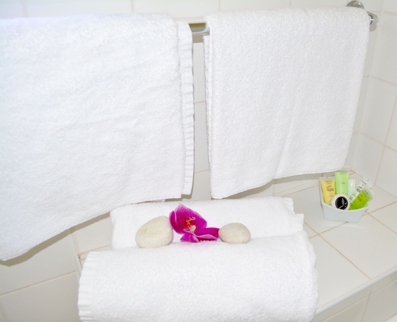 Imagen de la habitación del Hotel Birches Serviced Apartments. Foto 6