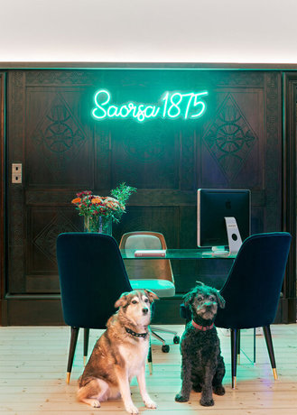 Imagen general del Hotel Birchwood Pitlochry. Foto 7