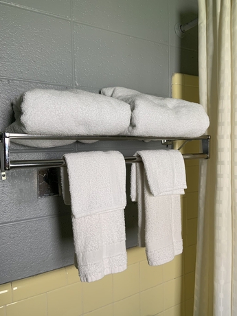 Imagen de los interiores del Hotel Birchwood Suites. Foto 19