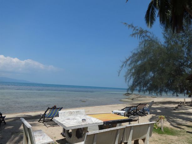 Imagen de los exteriores del Hotel Bird Bungalow. Foto 10