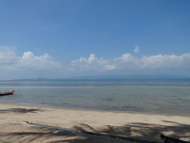 Imagen de la habitación del Hotel Bird Bungalow. Foto 4