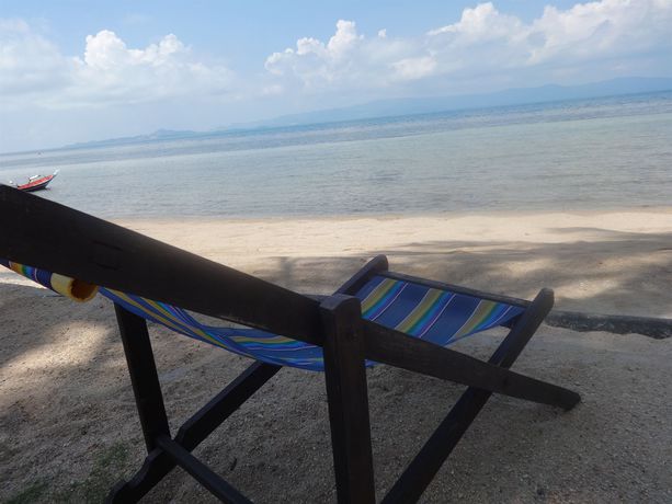 Imagen de los exteriores del Hotel Bird Bungalow. Foto 14