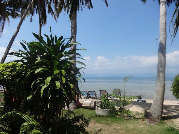 Imagen de los exteriores del Hotel Bird Bungalow. Foto 15