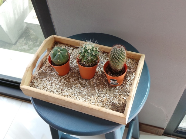 Imagen de los interiores del Hotel Bird Day Boutique. Foto 17