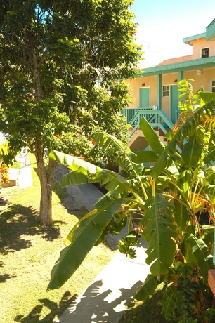 Imagen de los exteriores del Hotel Bird Rock Beach. Foto 14