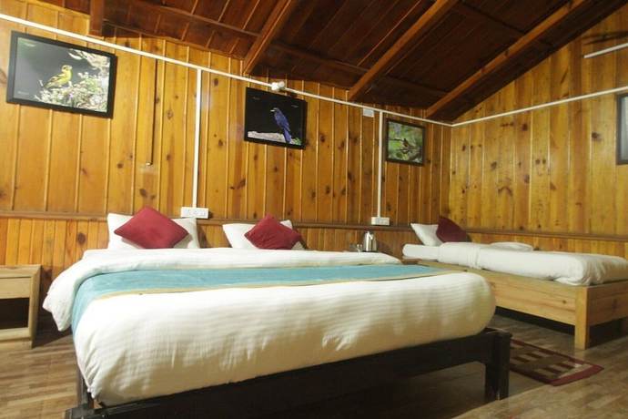 Imagen de la habitación del Hotel Birders Den Eco Resort. Foto 10