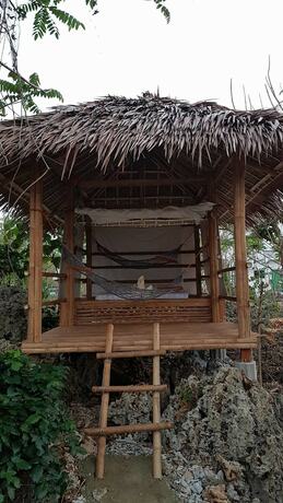Imagen general del Hotel Birdland Beach Club. Foto 3