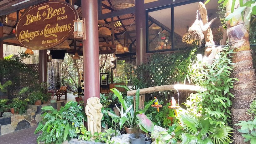Imagen general del Hotel Birds And Bees Resort. Foto 8
