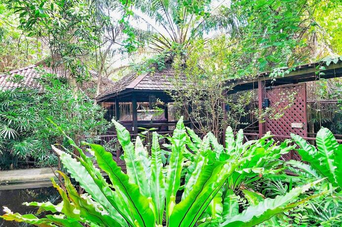 Imagen de la habitación del Hotel Birds And Bees Resort. Foto 18