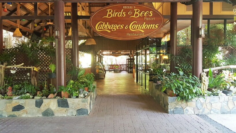 Imagen de los interiores del Hotel Birds And Bees Resort. Foto 33