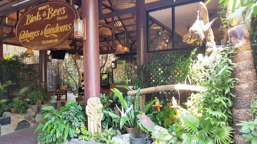 Imagen de los interiores del Hotel Birds And Bees Resort. Foto 34