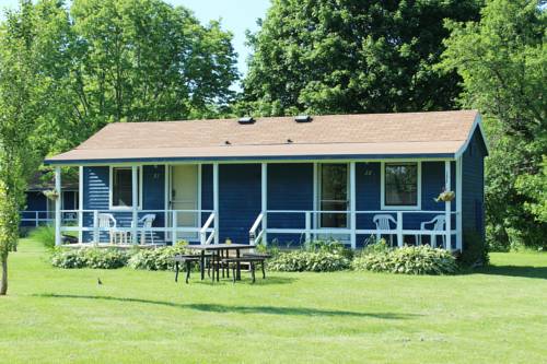 Imagen de la habitación del Hotel Bird's Nest Resort. Foto 5