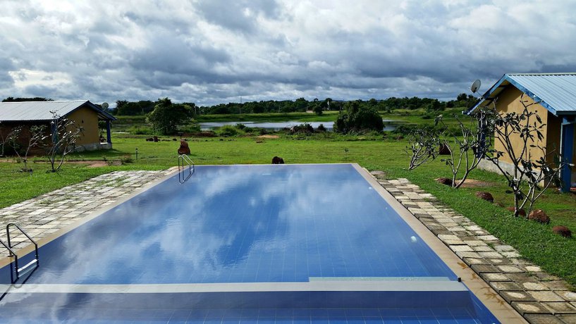 Imagen de la piscina del Hotel Birdwing Sigiriya. Foto 20