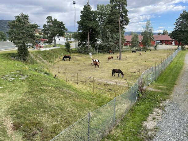 Imagen general del Hotel Biri Arena Overnatting. Foto 7