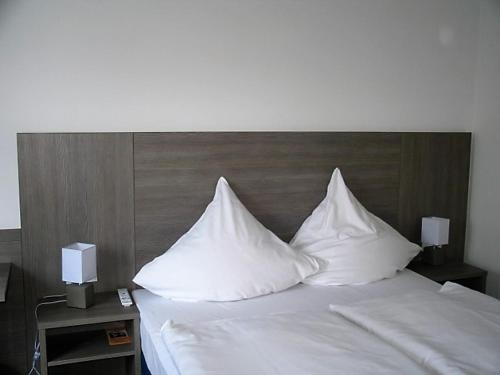 Imagen general del Hotel Birkeneck. Foto 3
