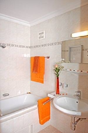 Imagen general del Hotel Birkenhof, Hasenau. Foto 1