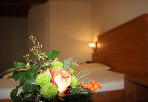 Imagen de la habitación del Hotel Birkenhof, Heidelberg. Foto 10