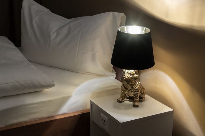 Imagen de la habitación del Hotel Birsighof. Foto 12