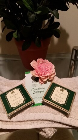 Imagen de la habitación del Hotel Bischoff, Waratah. Foto 28