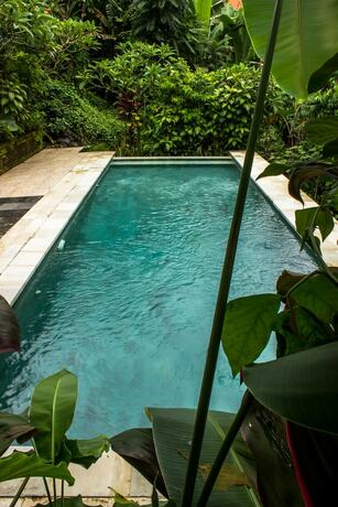 Imagen general del Hotel Bisma Jaya Bungalow. Foto 16