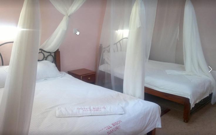 Imagen de la habitación del Hotel Bison. Foto 7