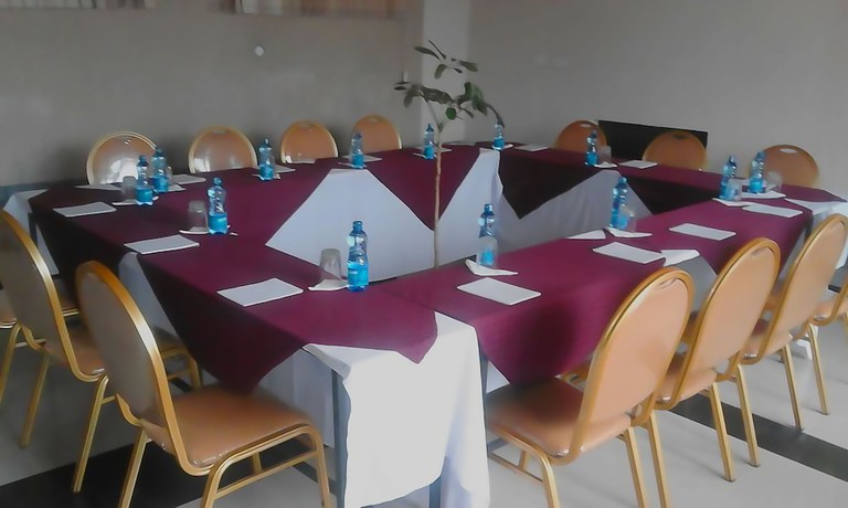 Imagen de los interiores del Hotel Bison. Foto 16