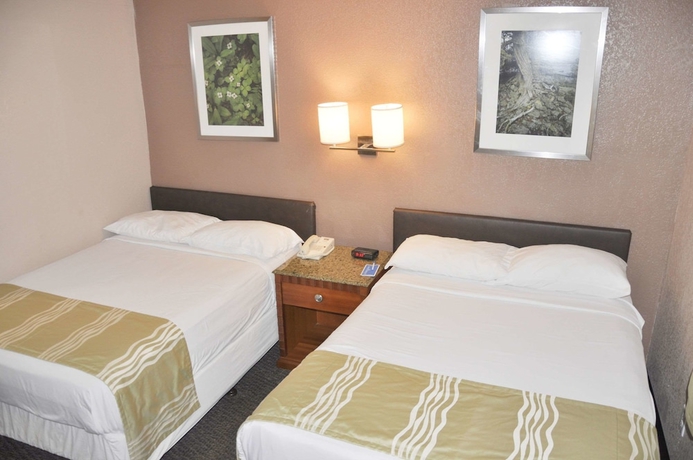 Imagen de la habitación del Hotel Bison Inn & Suites on University. Foto 14
