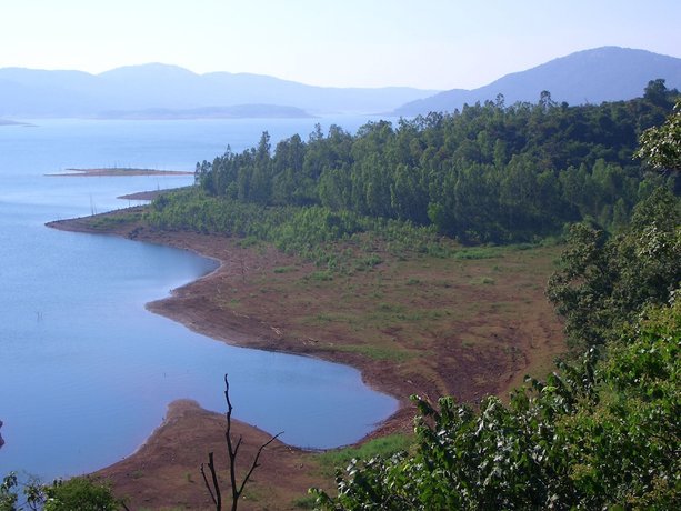 Imagen de los exteriores del Hotel Bison River Resort. Foto 17