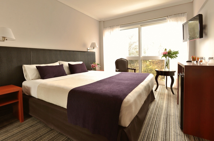 Imagen de la habitación del Hotel Bisonte Libertad. Foto 9