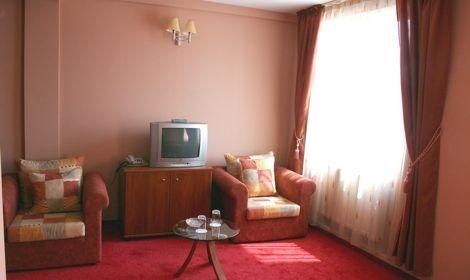 Imagen de la habitación del Hotel Bistrita, Bacau. Foto 8