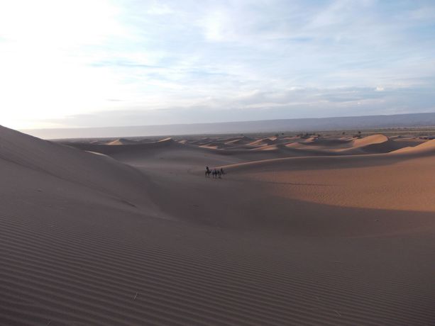 Imagen del bar/restaurante del Hotel Bivouac Draa - Nuit Dans Le Désert. Foto 8