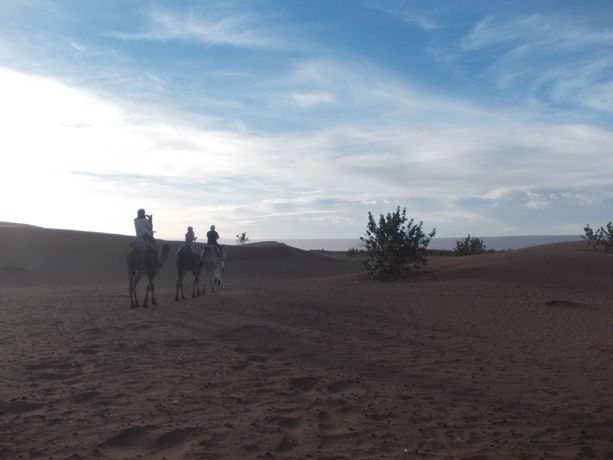 Imagen de los interiores del Hotel Bivouac Draa - Nuit Dans Le Désert. Foto 18