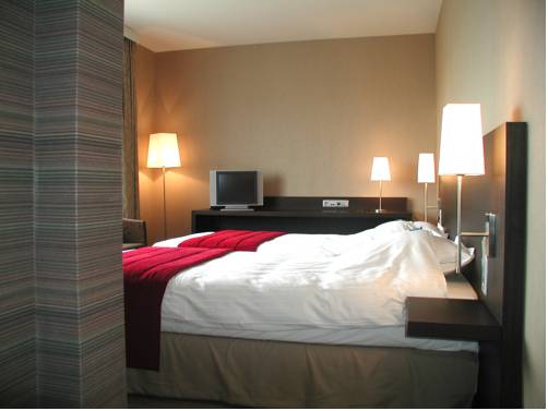 Imagen de la habitación del Hotel Biznis. Foto 4