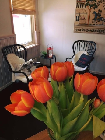 Imagen de los interiores del Hotel Bjursas Skicenter and Camping. Foto 19