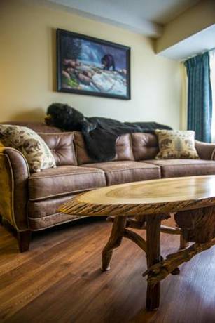 Imagen de la habitación del Hotel Black Bear Inn, Ascend Collection. Foto 8