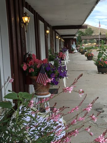 Imagen general del Hotel Black Bear Inn. Foto 1