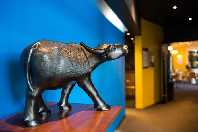 Imagen de los interiores del Hotel Black Buffalo. Foto 12