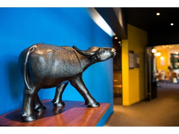 Imagen de los interiores del Hotel Black Buffalo. Foto 14