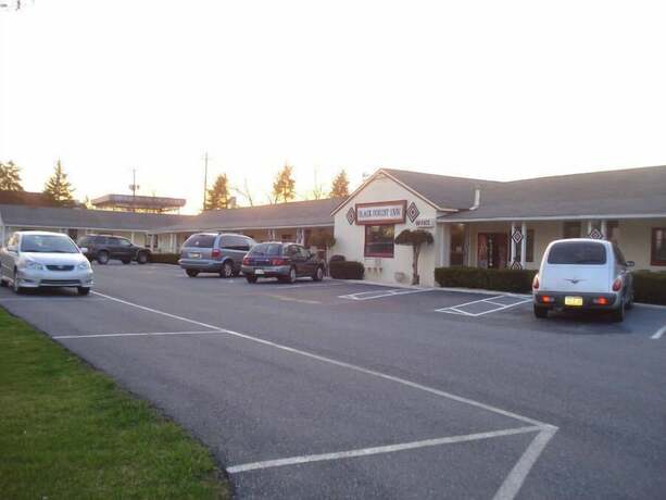 Imagen general del Hotel Black Forest Inn of Adamstown. Foto 1
